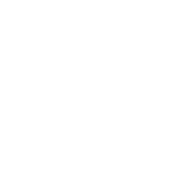 missing-icon